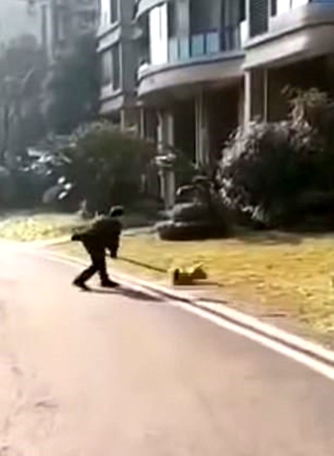 Ev heyvanları belə öldürülür - Polis tərəfindən (FOTOLAR)